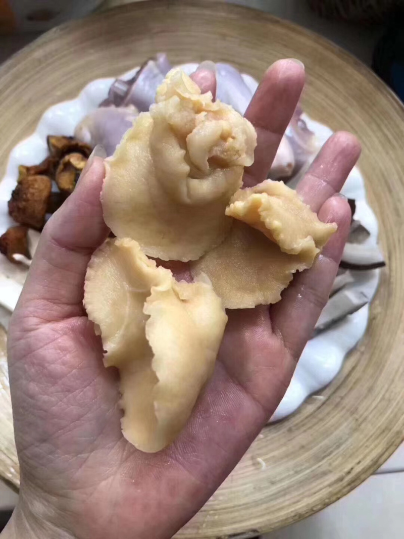 鲍鱼螺/渔民自晒螺肉白螺肉螺肉