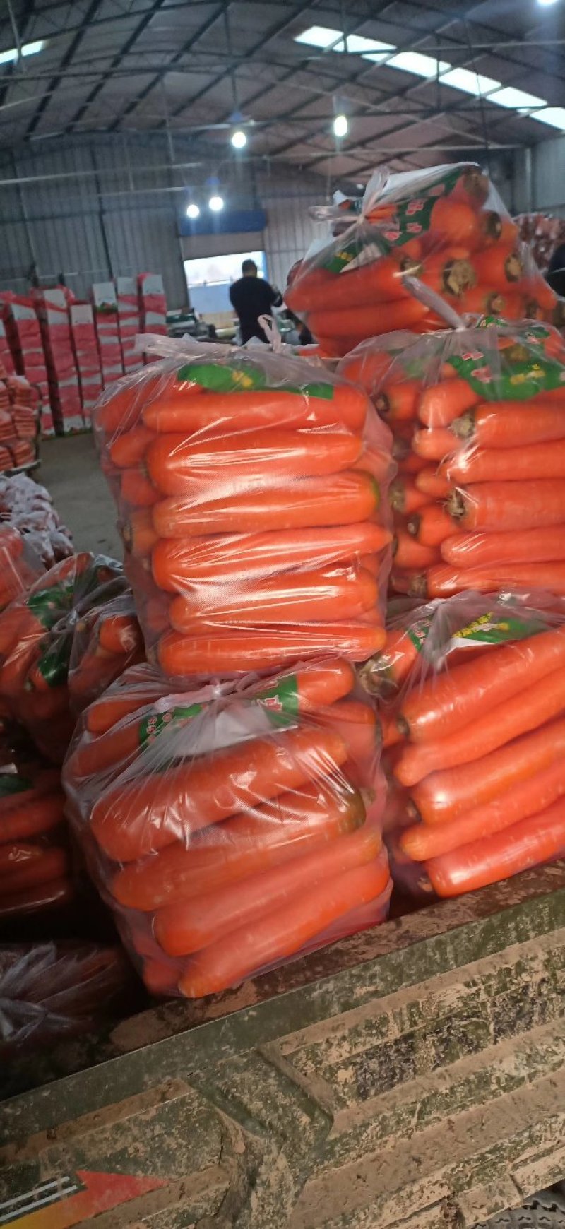 精品河南通许胡萝卜基地全国直发保质保量可实地考察视频看货