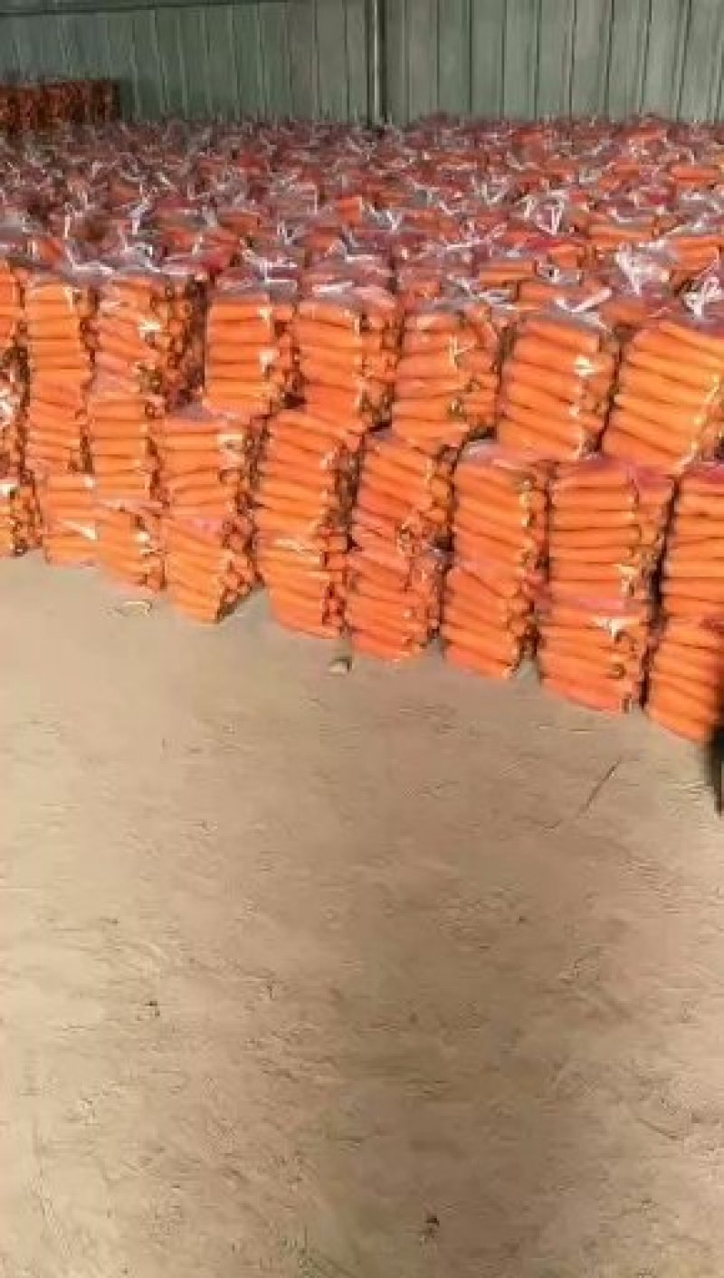 精品河南通许胡萝卜基地全国直发保质保量可实地考察视频看货