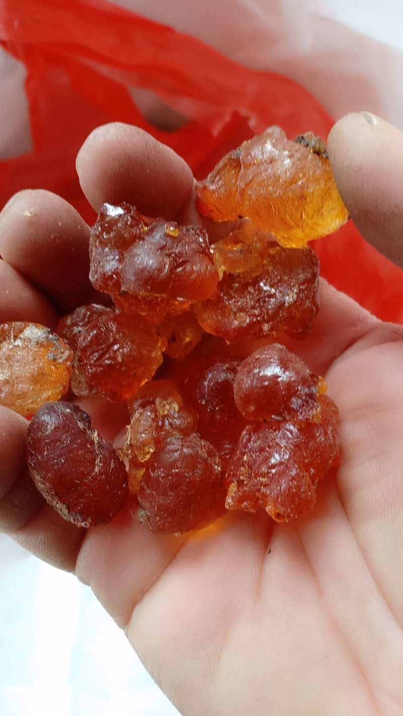 桃胶，沂蒙山区里的优质野生桃胶，产地直供
