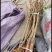 脆红李子苗嫁接苗规格齐全当年挂果南北方种植技术指导易成活