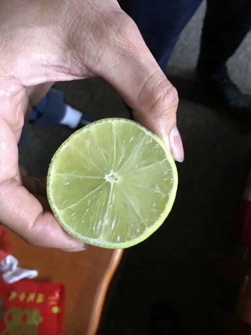 无籽青柠檬苗柠檬苗正品嫁接手指柠檬苗