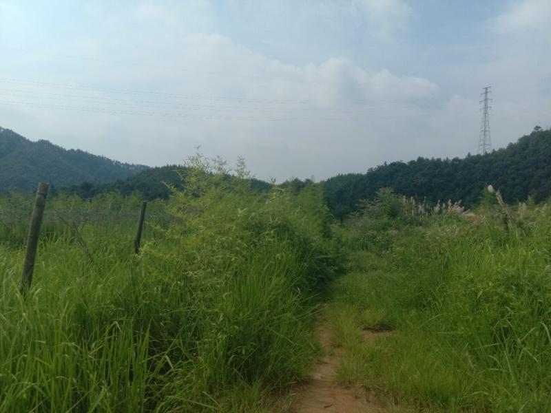 江西景德镇200亩农地寻求合作