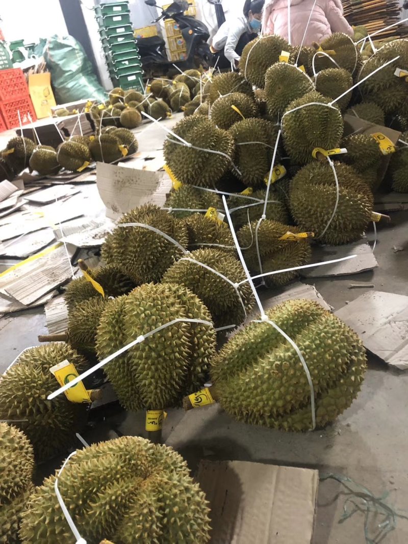 巴掌甲仑榴莲爆单啦！一个65包三房以上哦！