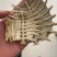 正品生鳖甲干净甲鱼壳选货另有炒鳖甲供应各种中药