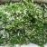 农青哥清明节新鲜现摘嫩叶食用江西艾草鲜艾叶草做青团草田艾