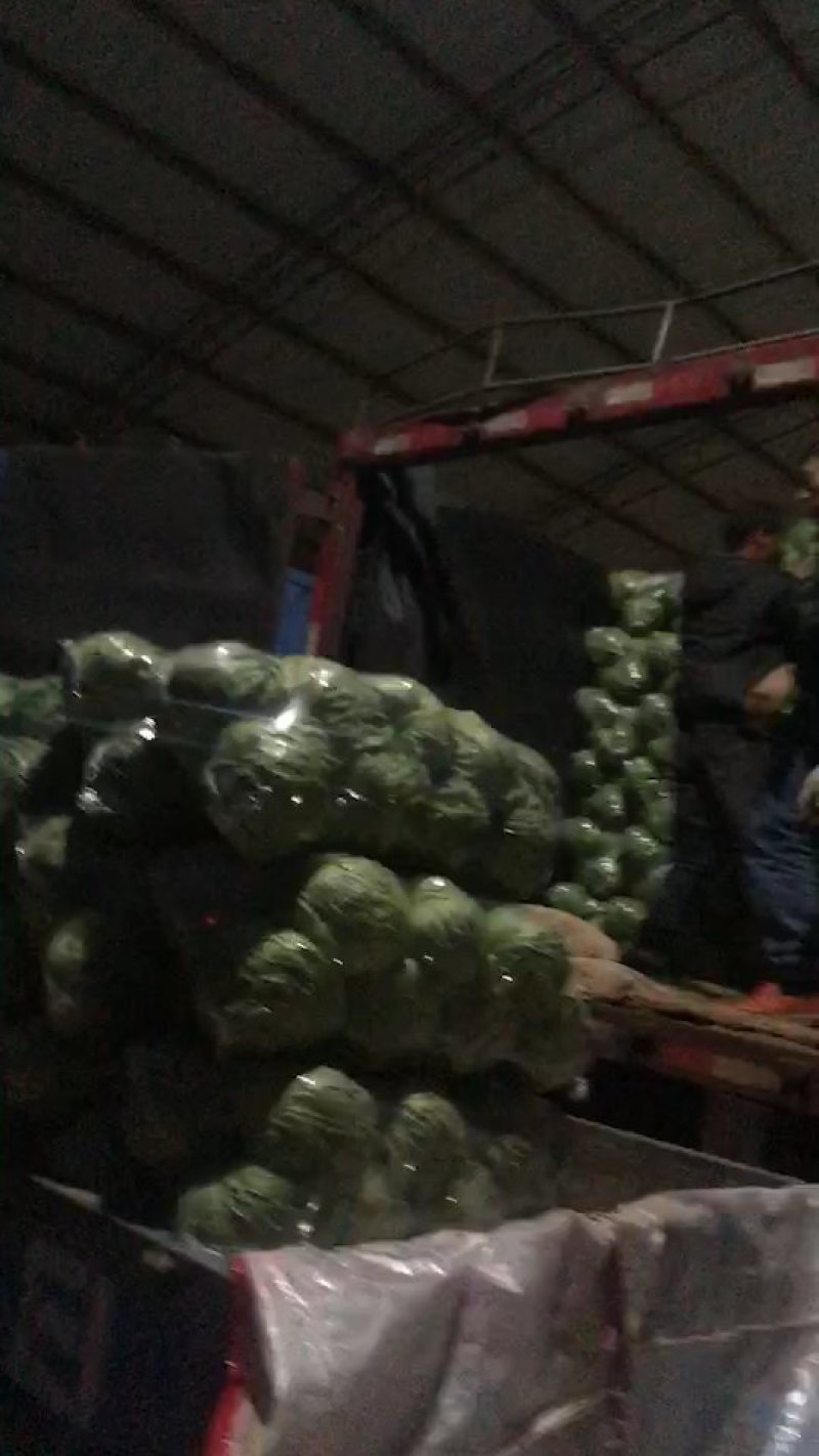 永年蔬菜需要的电联