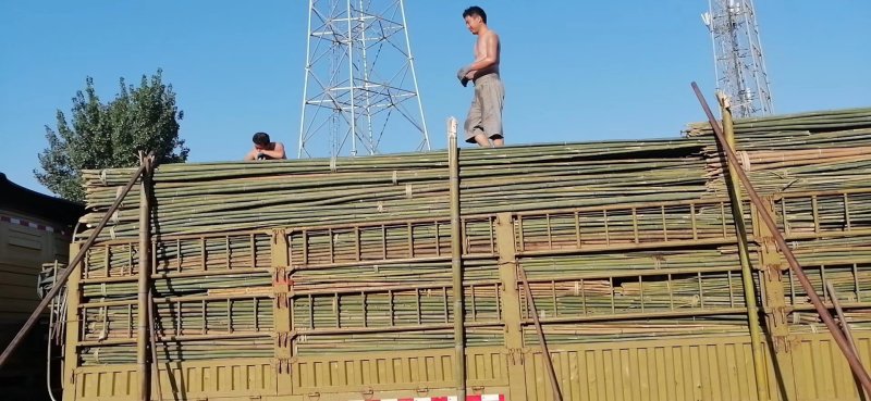 竹片，竹苗，竹尾，，，菜架竹，果木支撑杆架杆