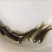 优质草鱼苗各种规格欢迎咨询