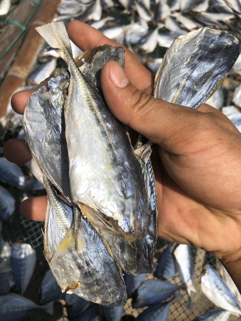 黄尾鱼干海鲜干货北海海味特产咸鱼干肉厚少刺黄尾鱼干厂