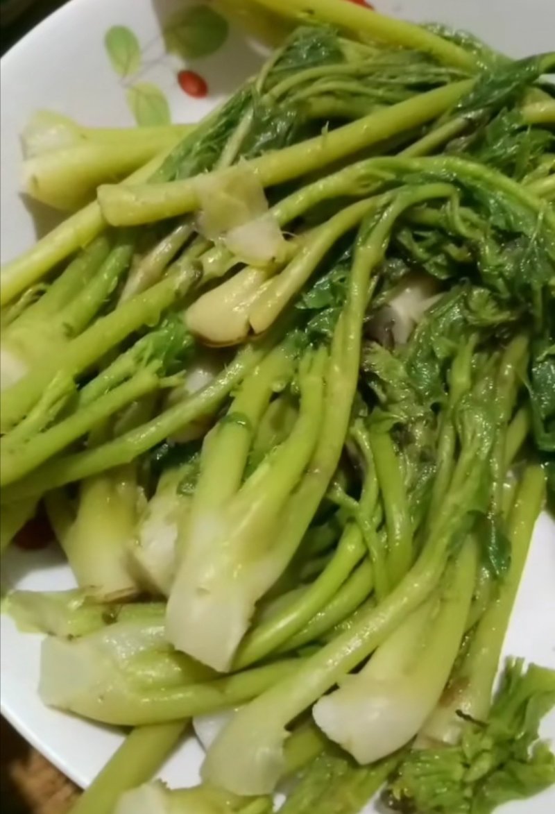 长白山野生刺老芽刺嫩芽种子，纯野生更纯更好