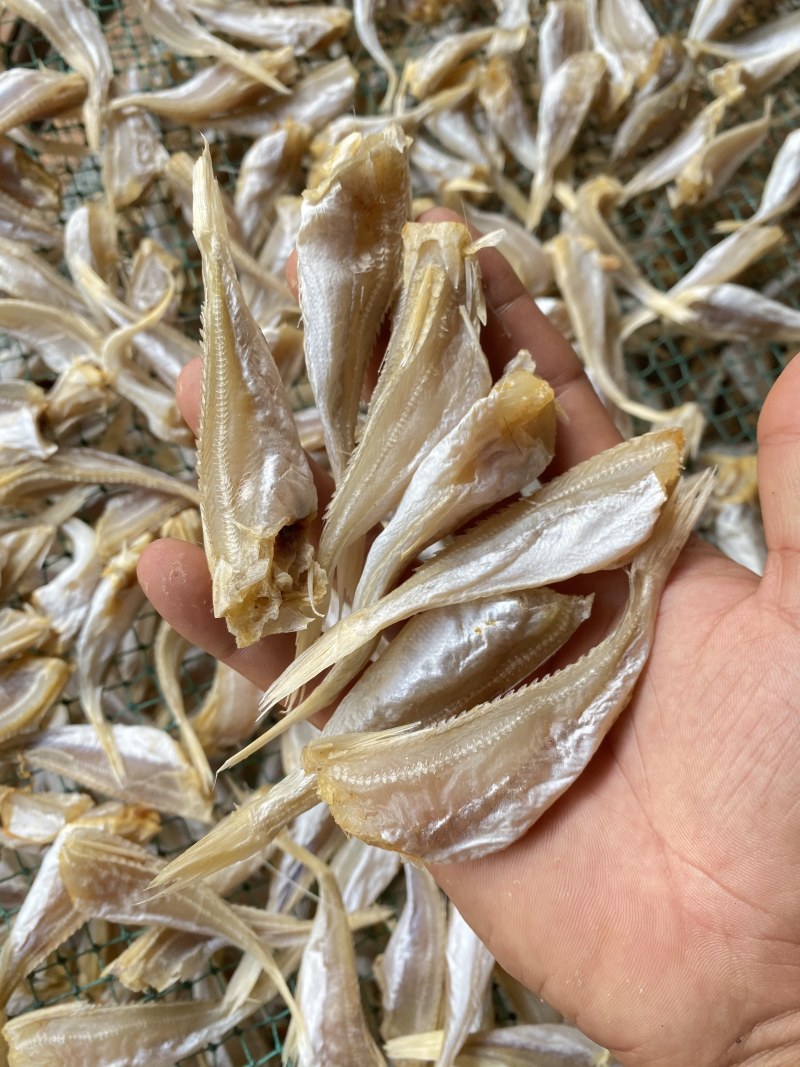 北海特产红娘鱼干六角头红头鱼肉角咸鱼干批发品质好货