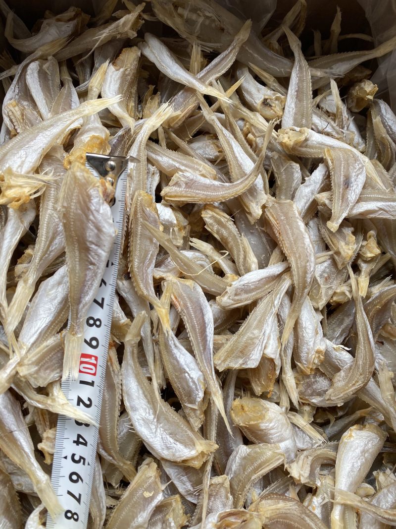 北海特产红娘鱼干六角头红头鱼肉角咸鱼干批发品质好货