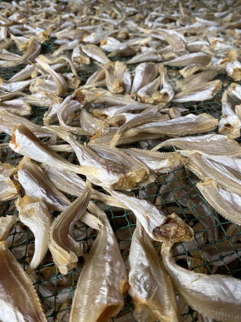 北海特产红娘鱼干六角头红头鱼肉角咸鱼干批发品质好货