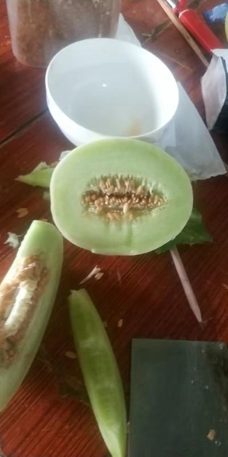 玉姑甜瓜