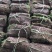 草坪四季青草坪马里拉草坪果岭草草坪基地量大从优直
