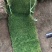 草坪四季青草坪马里拉草坪果岭草草坪基地量大从优直