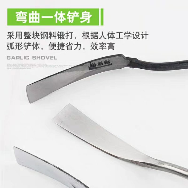 大蒜铲子不锈钢大蒜铲挖刨大蒜小铲子挖野菜专用铲子花