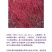 红柳树苗红端木绿化苗南北方适宜品种优良保证成活