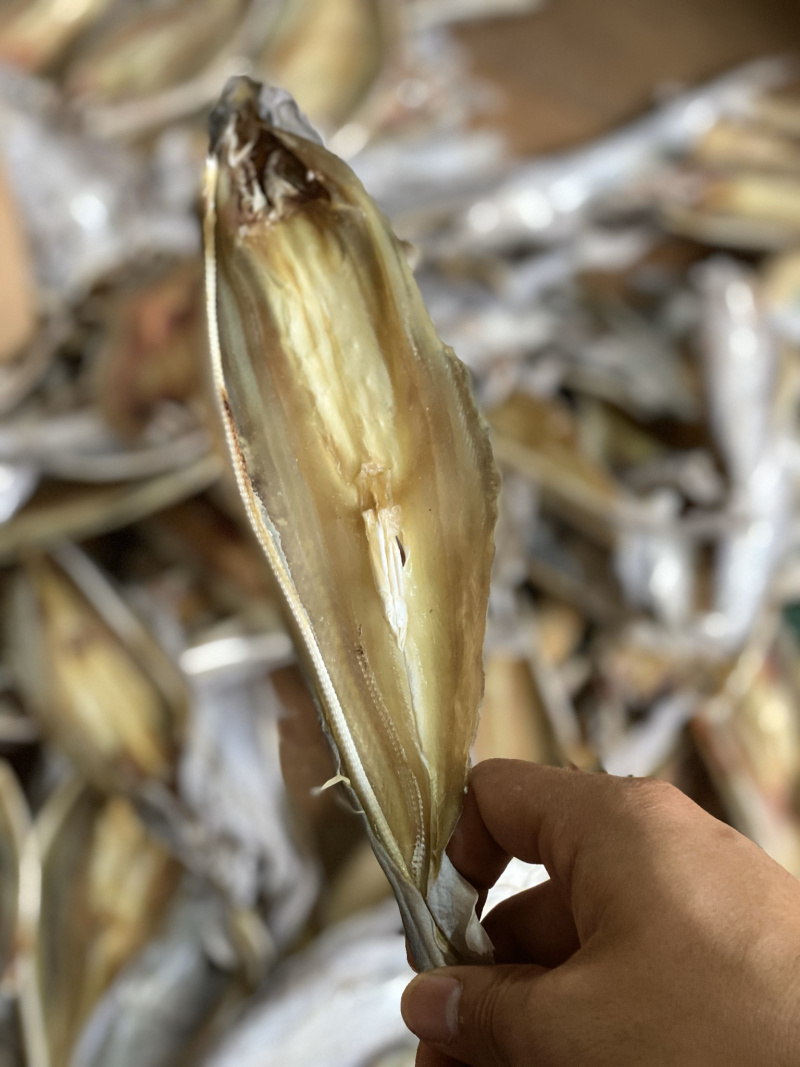 北海特产咸鱼干小沙鱼淡味少量货