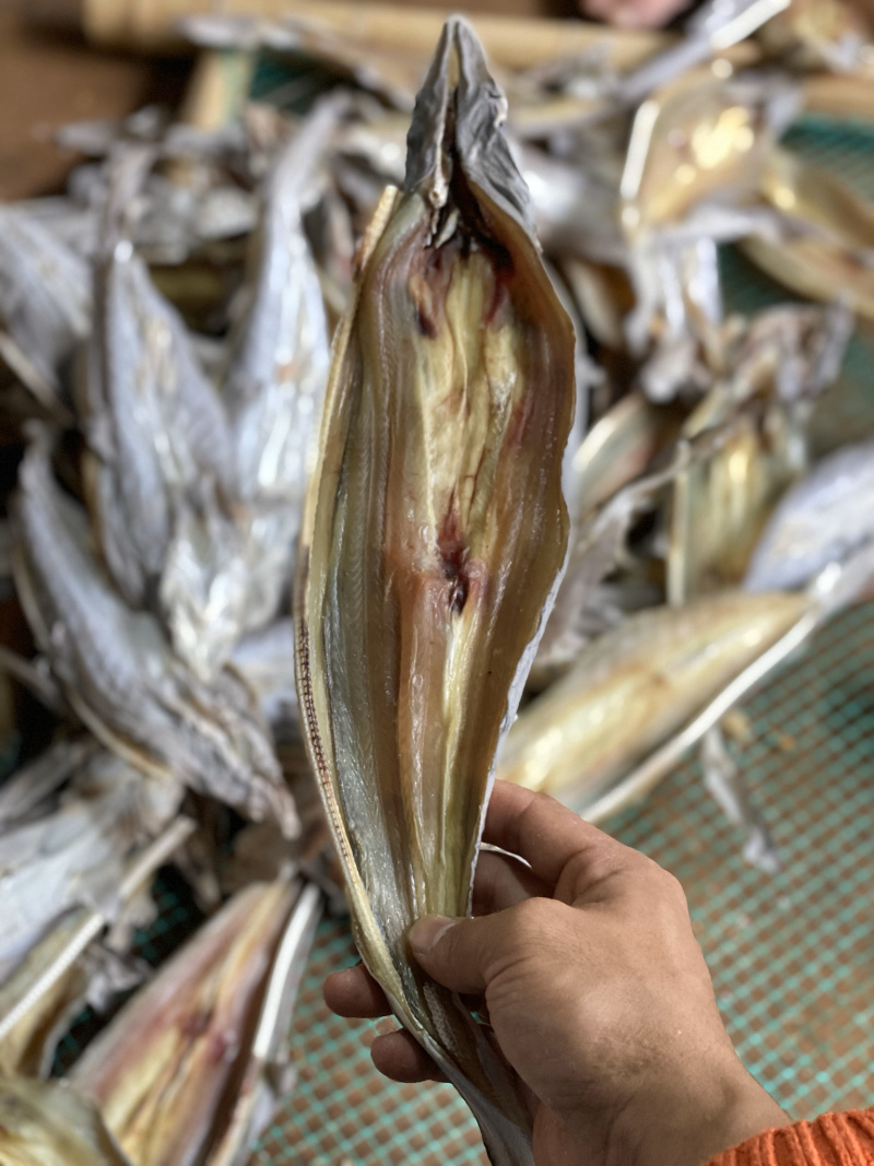 北海特产咸鱼干小沙鱼淡味少量货