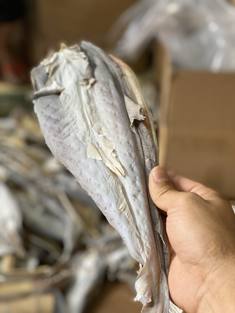 北海特产咸鱼干小沙鱼淡味少量货
