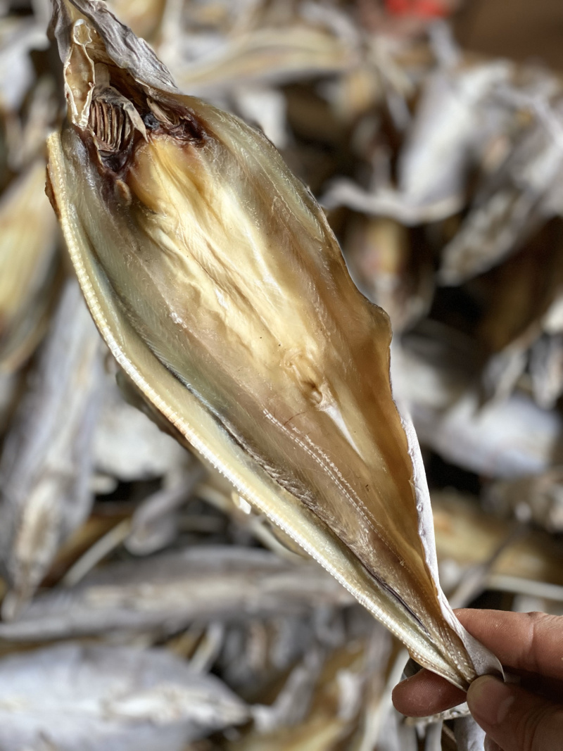 北海特产咸鱼干小沙鱼淡味少量货