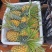【特实惠】徐闻菠萝现货供应中心金钻菠萝新鲜水果质优价廉