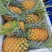【特实惠】徐闻菠萝现货供应中心金钻菠萝新鲜水果质优价廉