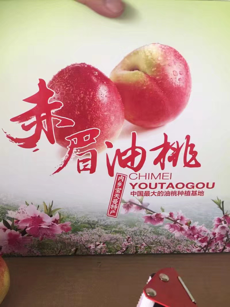 大量518露天油桃精品518油桃河南南阳产地直供全国代发
