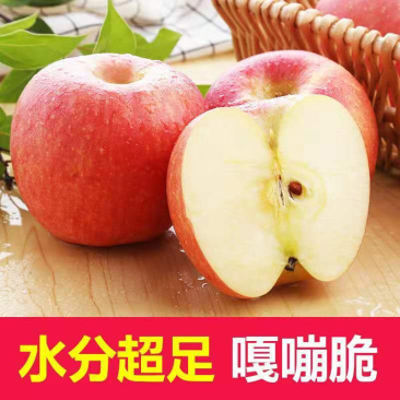 脆甜可口冰糖心苹果/产地直供/一件代发