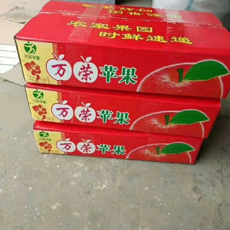 脆甜可口冰糖心苹果/产地直供/一件代发