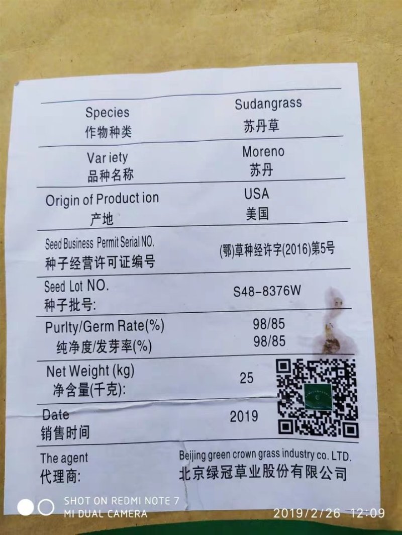 鱼草种子苏丹草草籽养殖牧草种子鸡鸭鹅猪牛羊鱼草