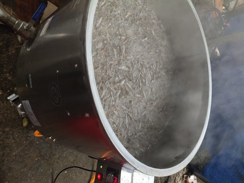 油炸白肖鱼