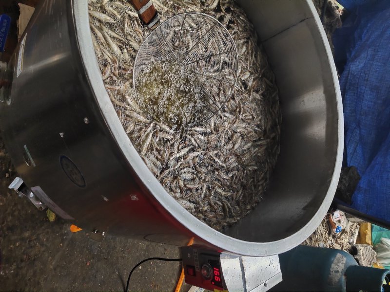 油炸白肖鱼