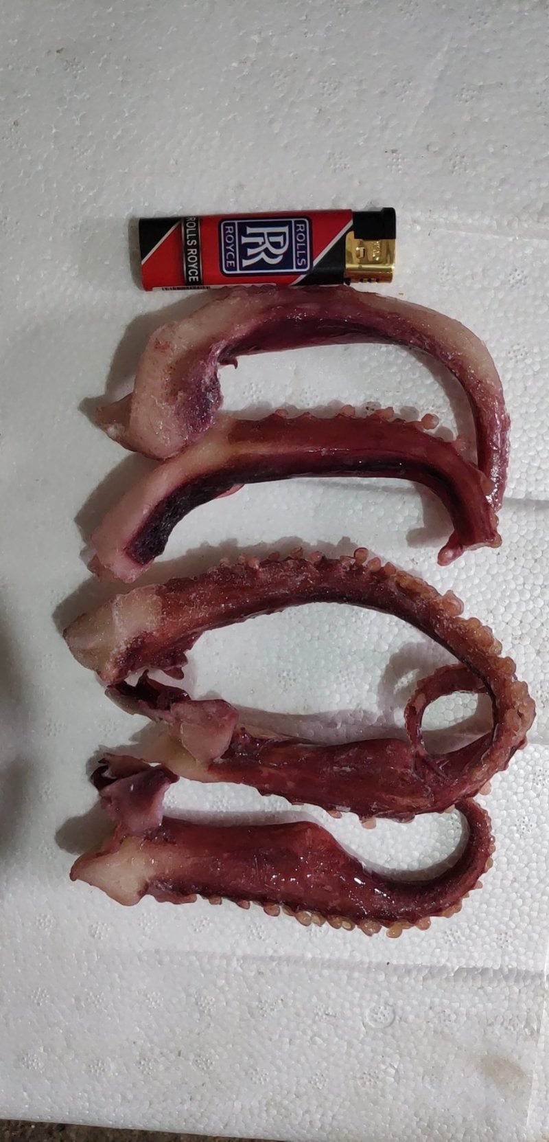章鱼足章鱼须，八爪脚八爪9斤净