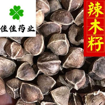 辣木籽印度进口辣木籽中大颗粒选货货干