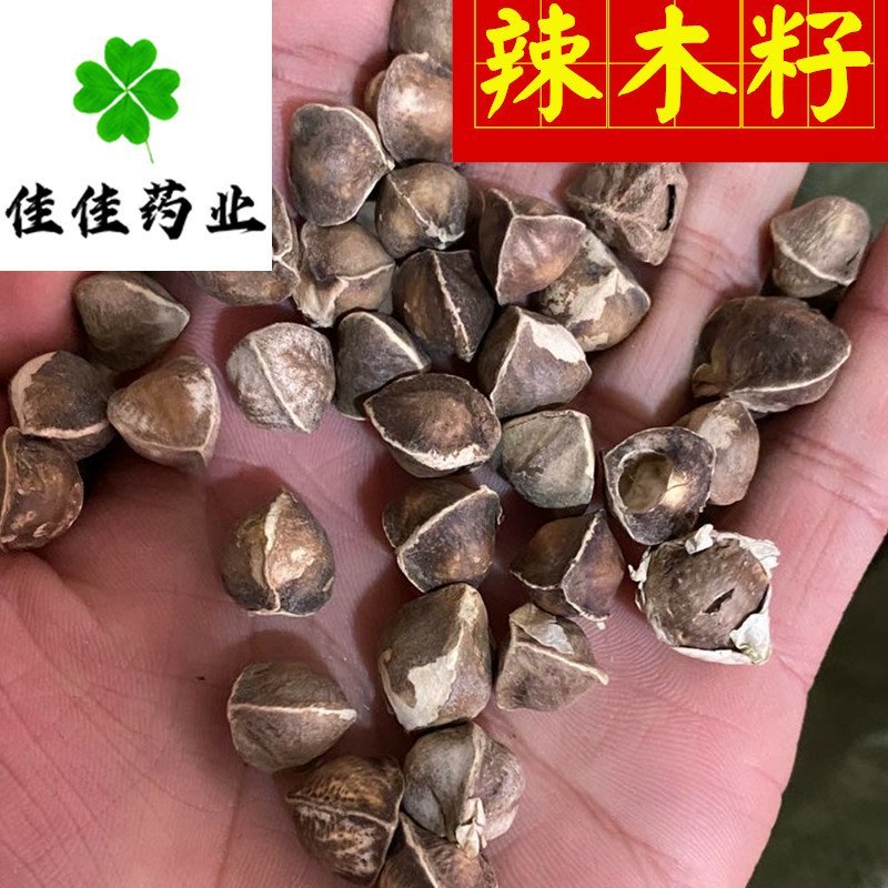 辣木籽印度进口辣木籽中大颗粒选货货干