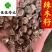 辣木籽印度进口辣木籽中大颗粒选货货干