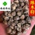 辣木籽印度进口辣木籽中大颗粒选货货干