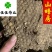 蜂房蜂窝家蜂房山蜂房马蜂窝软蜂房包邮含量高