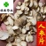 白参片白人参片无硫纯干货产地直销包邮看规格下单