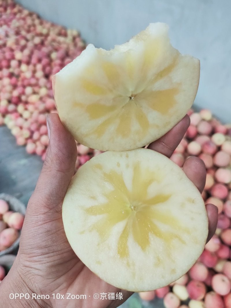 新疆阿克苏冰糖心高次代办整车发货招代理一手货源视频看货