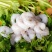 虾仁大虾仁青岛大虾虾仁冻货，新鲜直达，一手常年供货