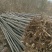 栾树黄山栾树3-20公分基地直销需要联系
