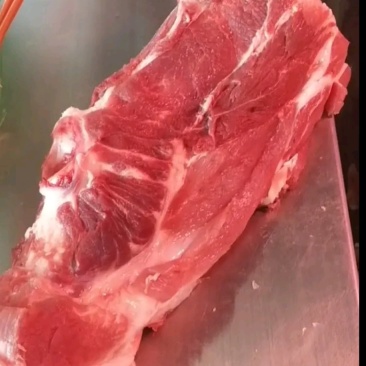 骨头，尾骨，杂排，猪各种品类都有厂家货源充足品质保证