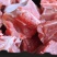骨头，尾骨，杂排，猪各种品类都有厂家货源充足品质保证