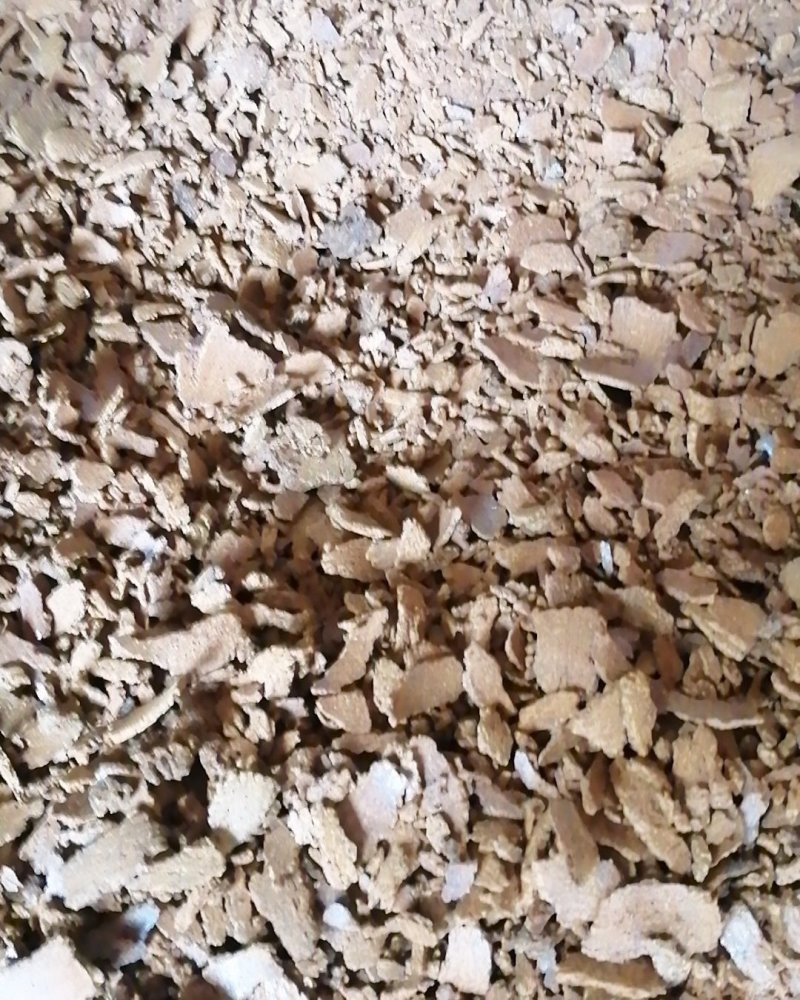小榨菜枯