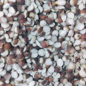 芡实大粒中粒质量可以