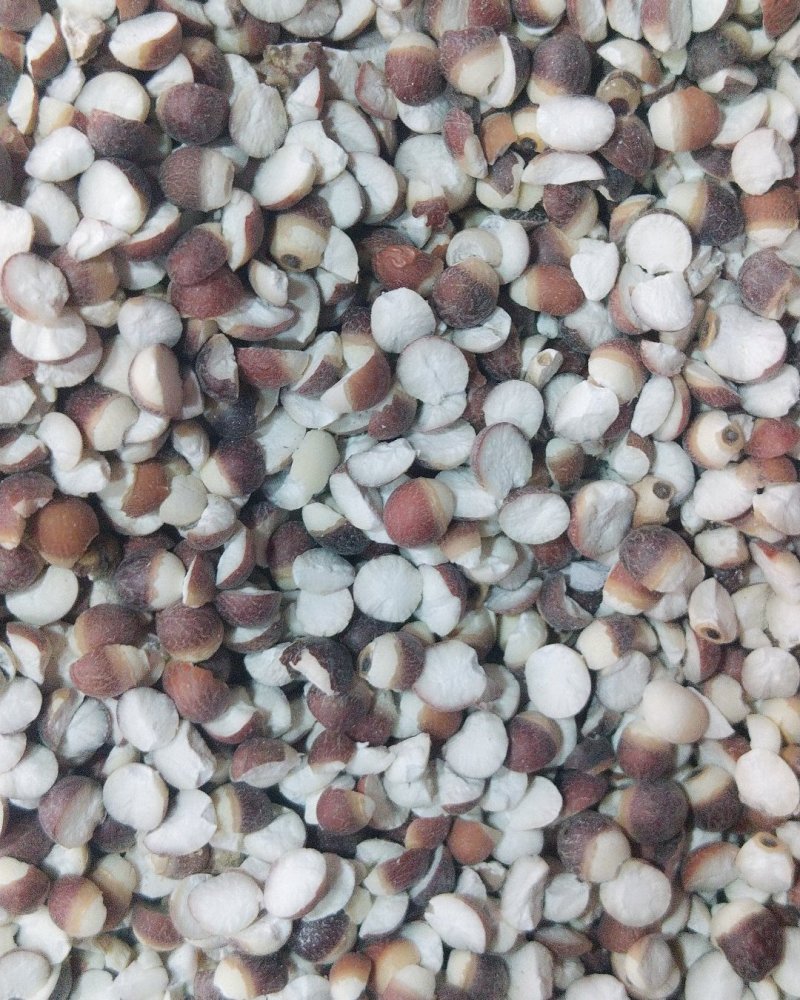 芡实大粒中粒质量可以
